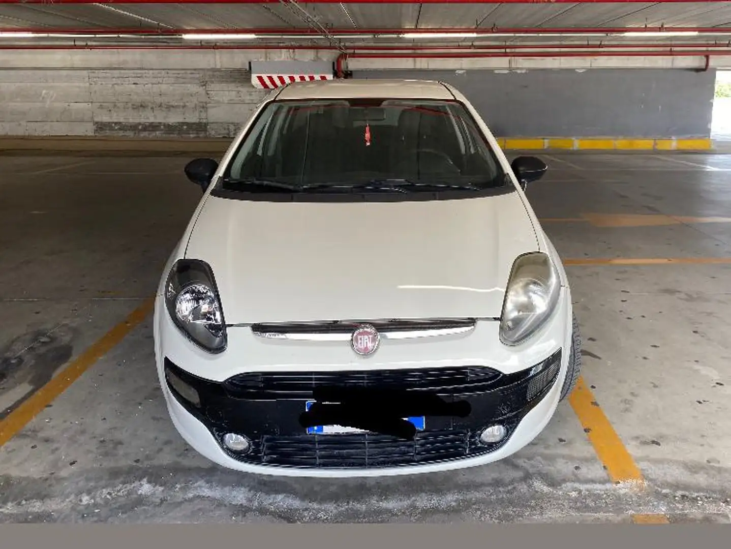 Fiat Punto Evo Punto III 2009 Evo 5p 1.3 mjt MyLife s Bianco - 2