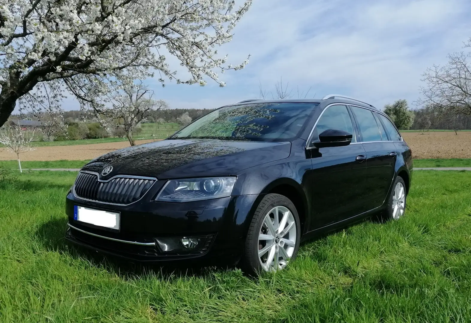 Skoda Octavia Elegance Schwarz - 1