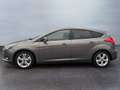 Ford Focus 1.5 EcoBoost Titanium Gris - thumbnail 3