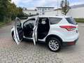 Ford Kuga Titanium Weiß - thumbnail 4