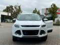 Ford Kuga Titanium Weiß - thumbnail 2