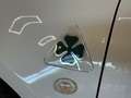 Alfa Romeo 4C 1750 tbi 240cv tct Weiß - thumbnail 13