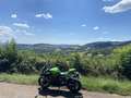 Kawasaki Ninja ZX-4RR Performance Pack - thumbnail 8