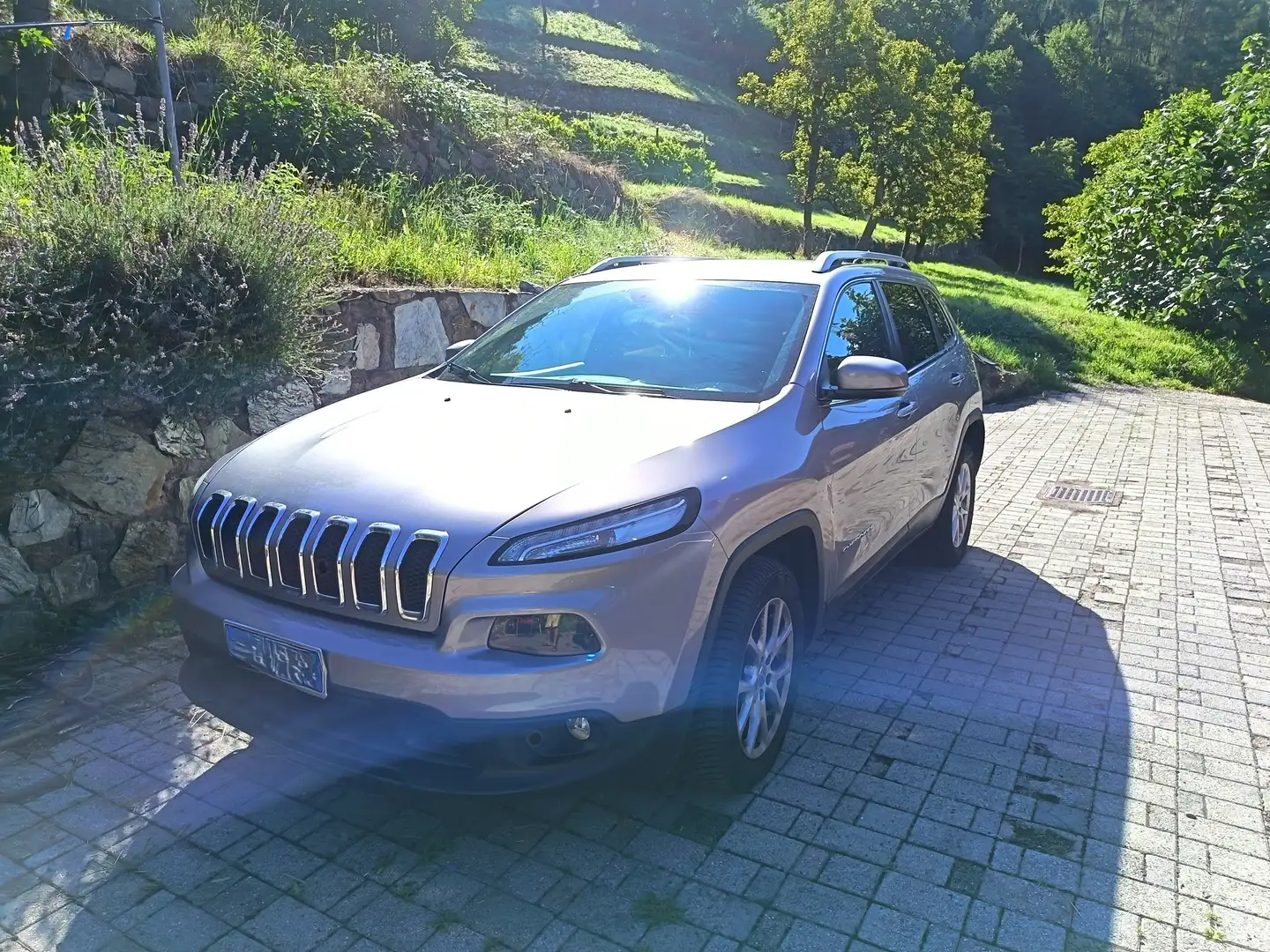 Jeep Cherokee Cherokee V 2014 2.2 mjt II  4wd 185cv auto Argintiu - 1