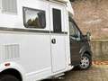 Ford Weinsberg CaraSuite R51 Camper Gris - thumbnail 20