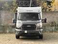 Ford Weinsberg CaraSuite R51 Camper Gris - thumbnail 8