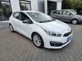 Kia Ceed / cee'd cee´d 1.6 CRDI Edition 7 AHK KLIMA AUS 2.HAND Blanc - thumbnail 3