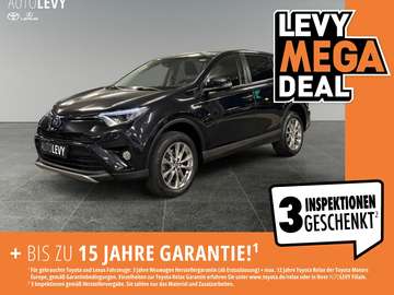 Hybrid 4x2 Team D *SHZ*LED*