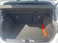 Ford Focus 1.5 EcoBlue 115ch ST-Line X BVA8 Gris - thumbnail 13