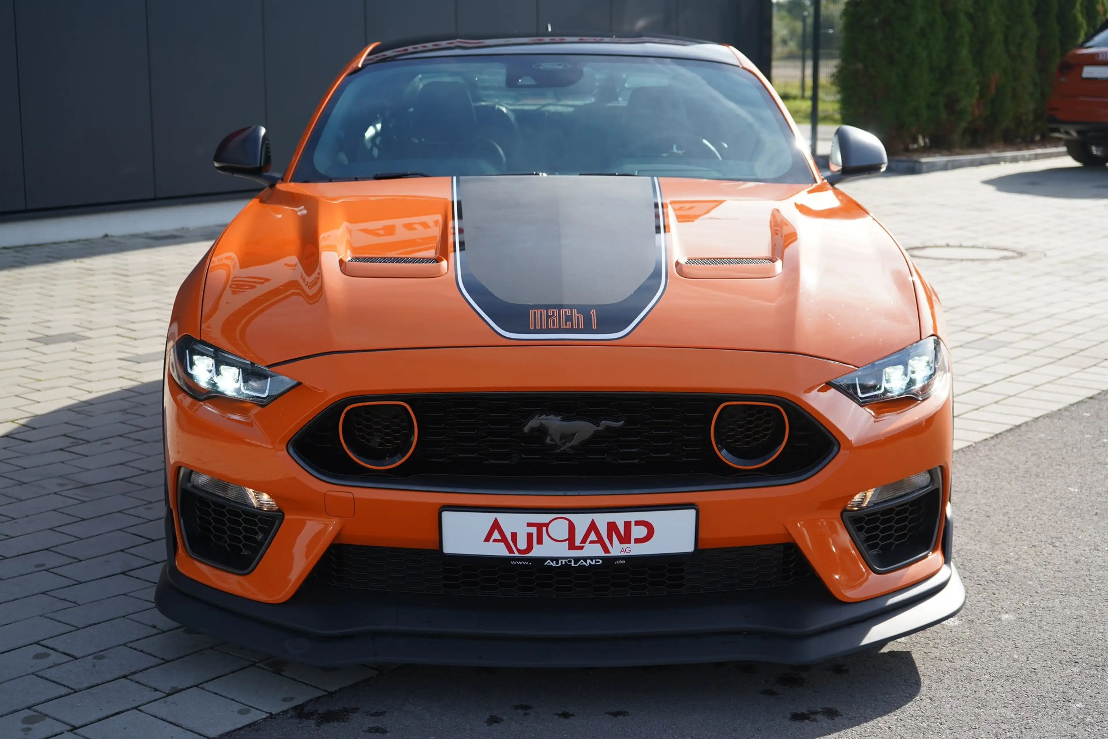 Ford Mustang 5.0 Mach 1 — photo 9