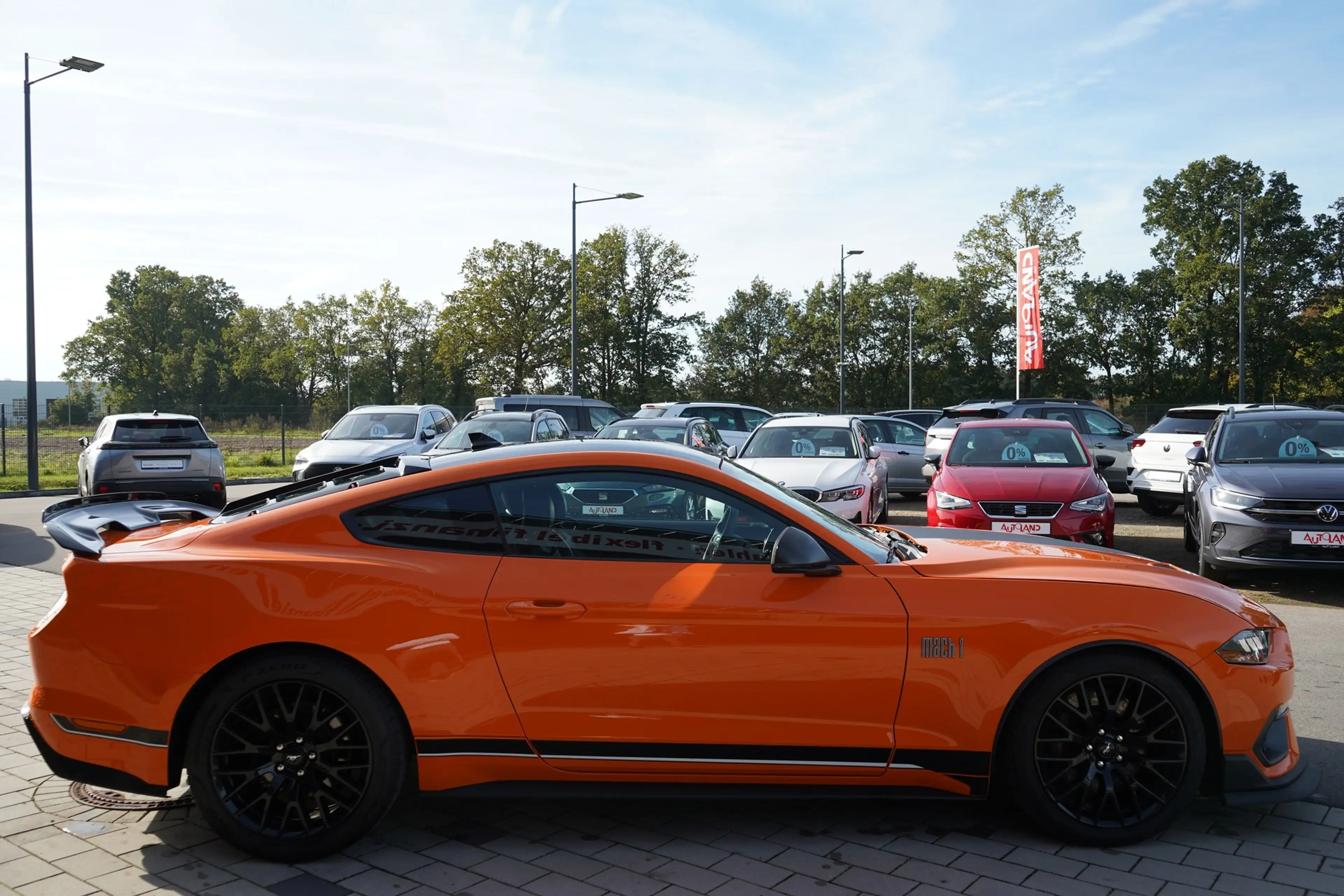 Ford Mustang 5.0 Mach 1 — photo 7