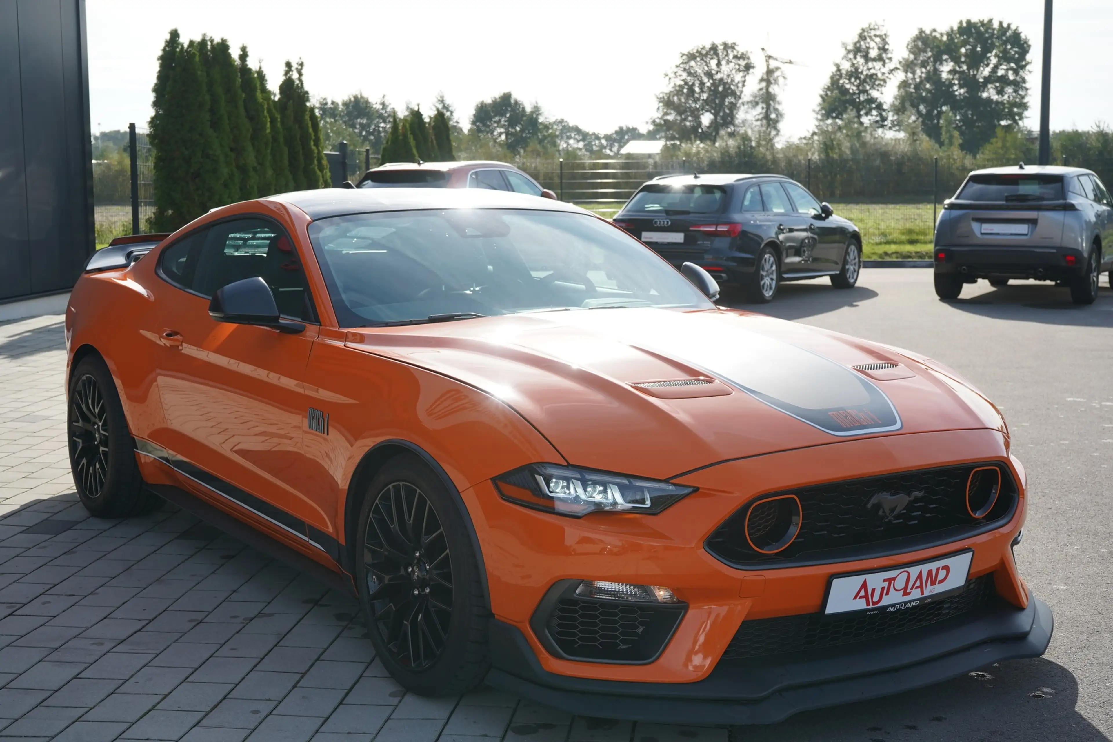 Ford Mustang 5.0 Mach 1 — photo 8