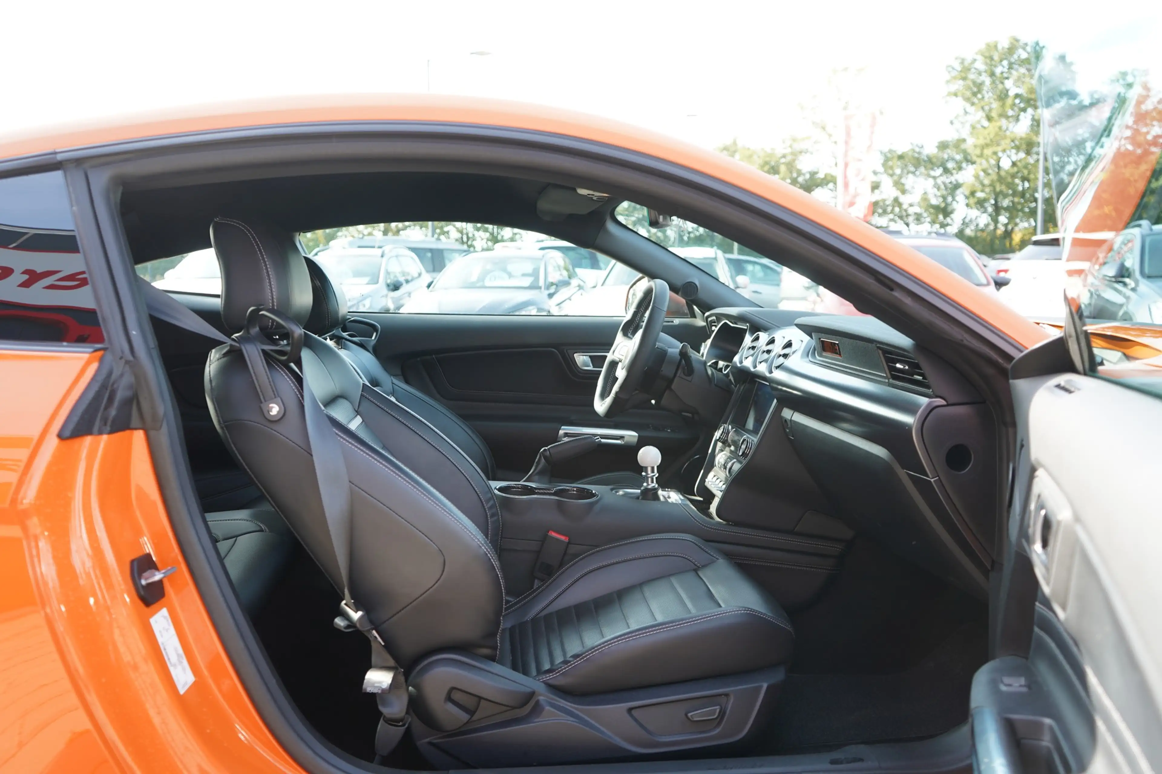Ford Mustang 5.0 Mach 1 — photo 28