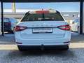 Skoda Superb 2.0 TDI DSG,STANDH,AHK,KAMERA,VIRTUAL,ACC Klima Weiß - thumbnail 4