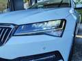 Skoda Superb 2.0 TDI DSG,STANDH,AHK,KAMERA,VIRTUAL,ACC Klima Weiß - thumbnail 17