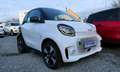smart forTwo fortwo coupe EQ Passion White - thumbnail 1