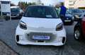 smart forTwo fortwo coupe EQ Passion Weiß - thumbnail 3