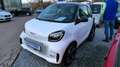 smart forTwo fortwo coupe EQ Passion Weiß - thumbnail 4