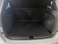 CUPRA Ateca VZ 2.0 TSI 4Drive DSG AHK,PANO,BEATS,XL Bianco - thumbnail 6