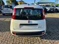 Fiat Panda 1.0 FireFly S&S Hybrid ITA  PACK CITY NO VINCOLI Bianco - thumbnail 4