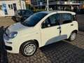 Fiat Panda 1.0 FireFly S&S Hybrid ITA  PACK CITY NO VINCOLI Bianco - thumbnail 6