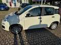 Fiat Panda 1.0 FireFly S&S Hybrid ITA  PACK CITY NO VINCOLI Bianco - thumbnail 3