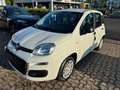 Fiat Panda 1.0 FireFly S&S Hybrid ITA  PACK CITY NO VINCOLI Bianco - thumbnail 2