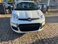 Fiat Panda 1.0 FireFly S&S Hybrid ITA  PACK CITY NO VINCOLI Bianco - thumbnail 5