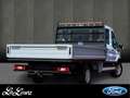 Ford Transit Doppelkabine Pritsche Trend 350 L4 Blanco - thumbnail 2