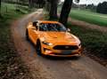 Ford Mustang Mustang 5,0 Ti-VCT V8 GT Aut. Orange - thumbnail 18