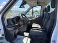 Ford Transit 350 2.0TDCi EcoBlue 130CV cassonato Bianco - thumbnail 6