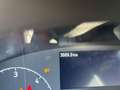 Ford Transit 350 2.0TDCi EcoBlue 130CV cassonato Bianco - thumbnail 10