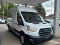 Ford Transit Kasten 350 L4 H3 Navi/Klima/AHK/PDC/1.Hd Bianco - thumbnail 7