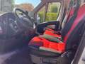 Fiat Ducato 2.3 JTD IVA INCLUSA Bianco - thumbnail 11