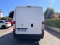 Fiat Ducato 2.3 JTD IVA INCLUSA Bianco - thumbnail 10