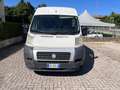 Fiat Ducato 2.3 JTD IVA INCLUSA Bianco - thumbnail 8