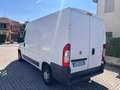 Fiat Ducato 2.3 JTD IVA INCLUSA Bianco - thumbnail 4
