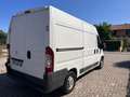 Fiat Ducato 2.3 JTD IVA INCLUSA Bianco - thumbnail 9