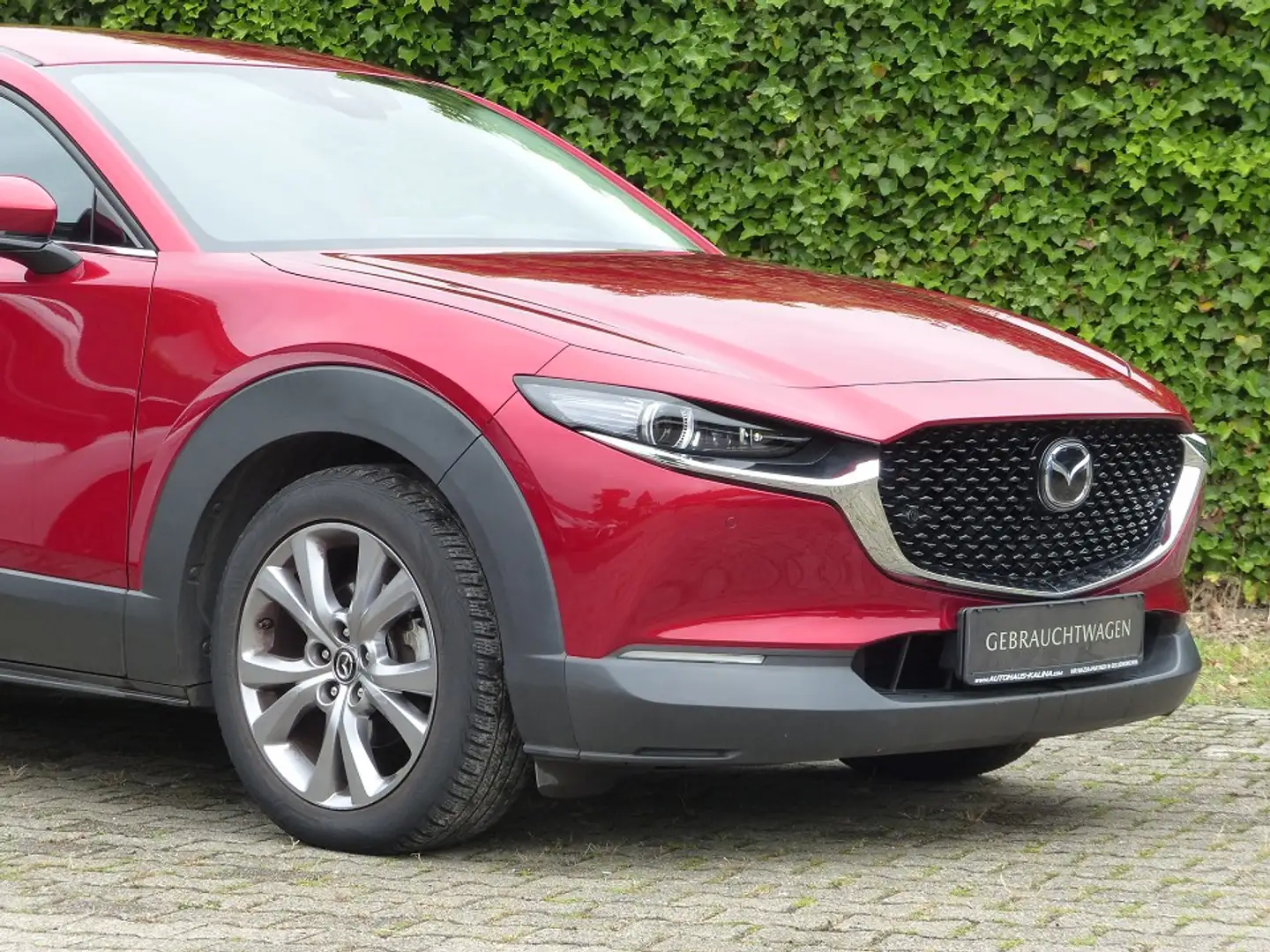 Mazda CX-30 SKYACTIV-G 150PS SELECTION + Design-Paket.+ Allwet Rot - 2