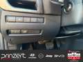Nissan Qashqai 1.3 DIG-T MHEV CVT "N-Connecta" Business-Paket Grau - thumbnail 20
