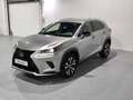 Lexus NX 300 300h Premium 2WD Gris - thumbnail 25