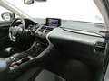 Lexus NX 300 300h Premium 2WD Gris - thumbnail 16