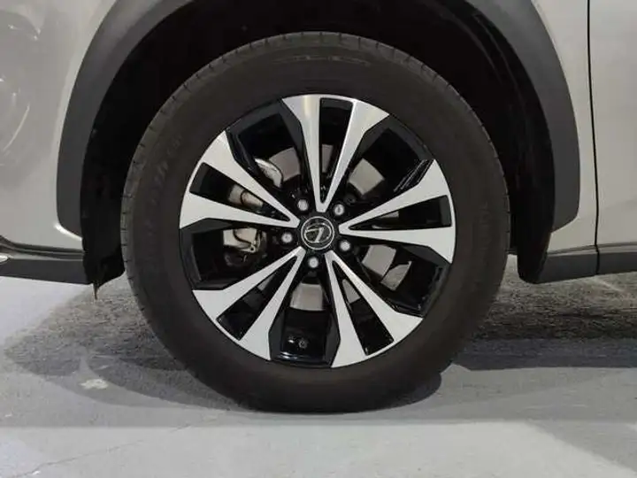 Lexus NX 300h PREMIUM 2WD 2020, foto 29