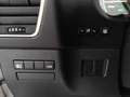 Lexus NX 300 300h Premium 2WD Gris - thumbnail 14