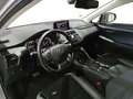 Lexus NX 300 300h Premium 2WD Gris - thumbnail 17