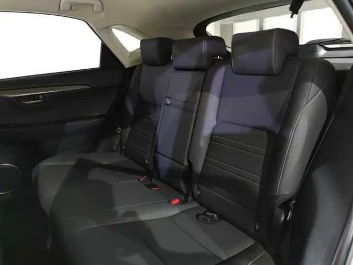 Lexus NX 300h PREMIUM 2WD 2020, foto 20