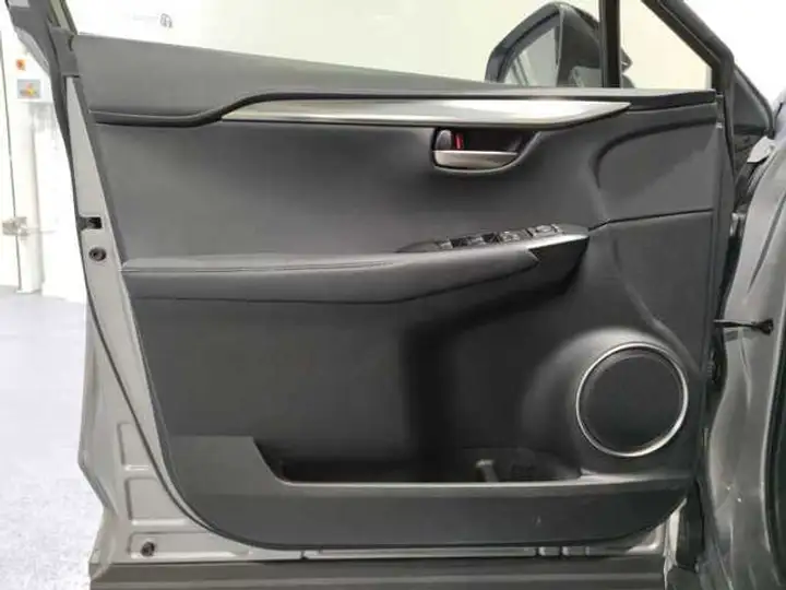 Lexus NX 300h PREMIUM 2WD 2020, foto 15