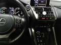 Lexus NX 300 300h Premium 2WD Gris - thumbnail 8
