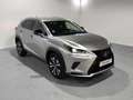 Lexus NX 300 300h Premium 2WD Gris - thumbnail 23