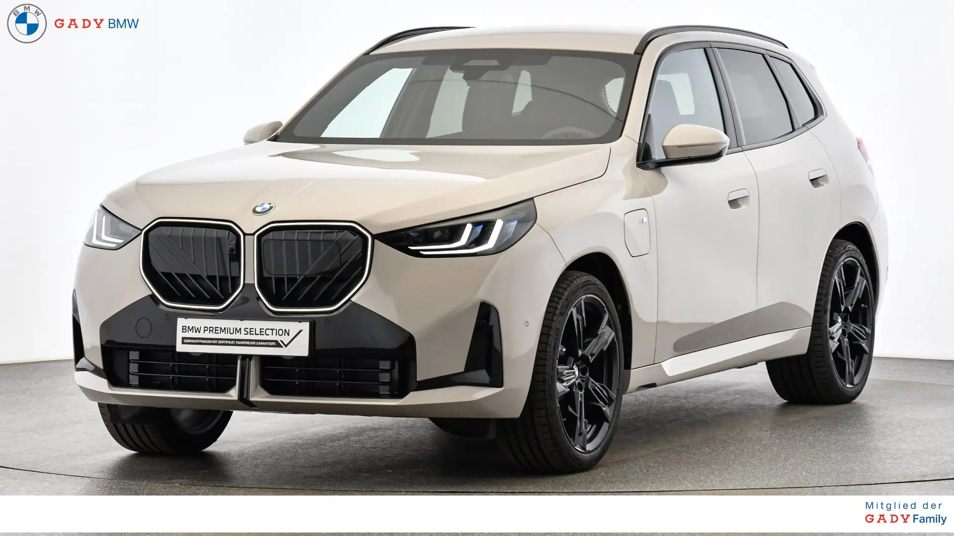 BMW X3 30e xDrive Grau - 1
